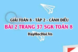 Bài 2 trang 37 Toán 8 Tập 2 Cánh Diều